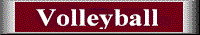 Volleybutt.gif (3087 bytes)